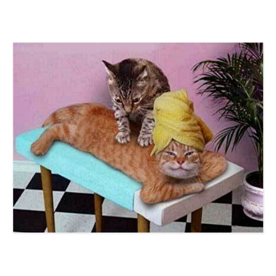 massage lustig Bild