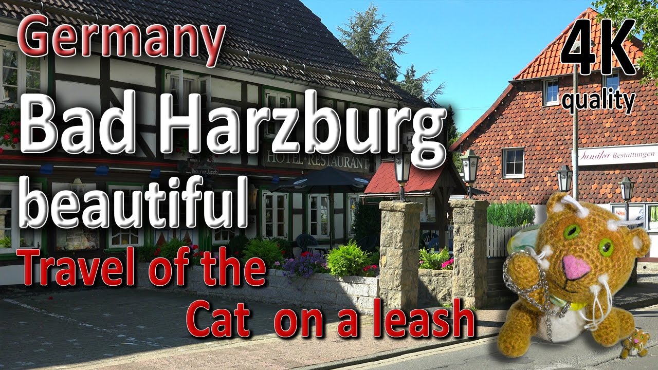 bad harzburg in Nutten