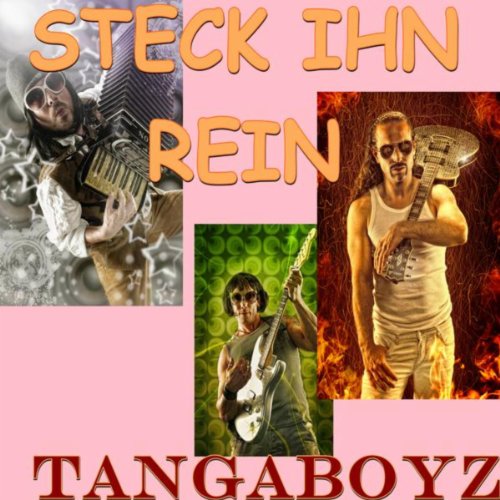 rein Steck ihn