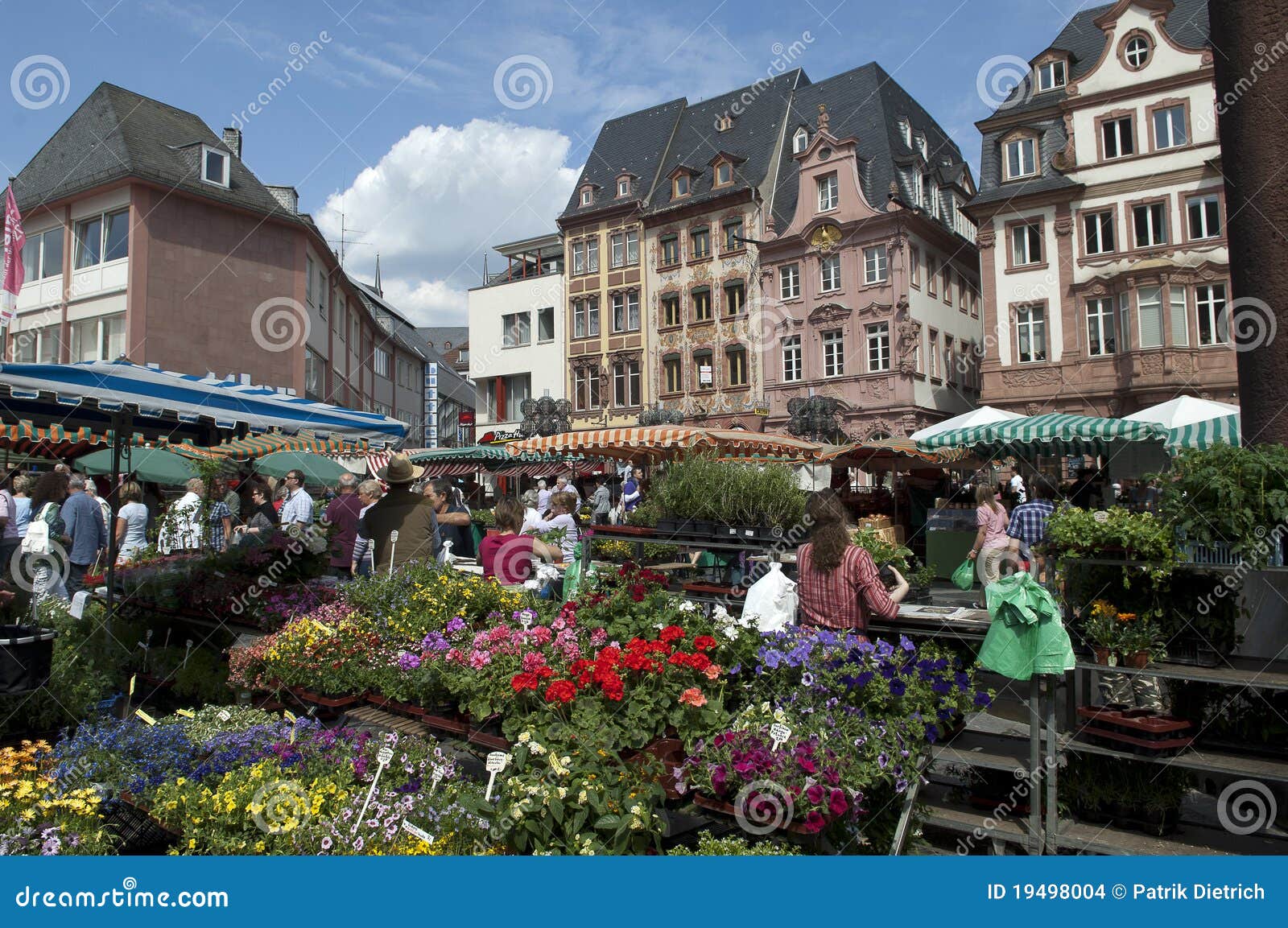 markt mainz Gay