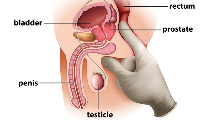 Prostate massage cum