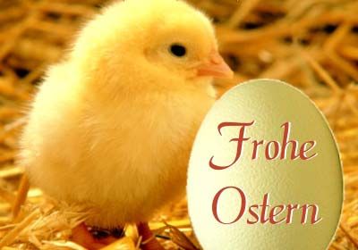 bilder Frohe männer ostern für