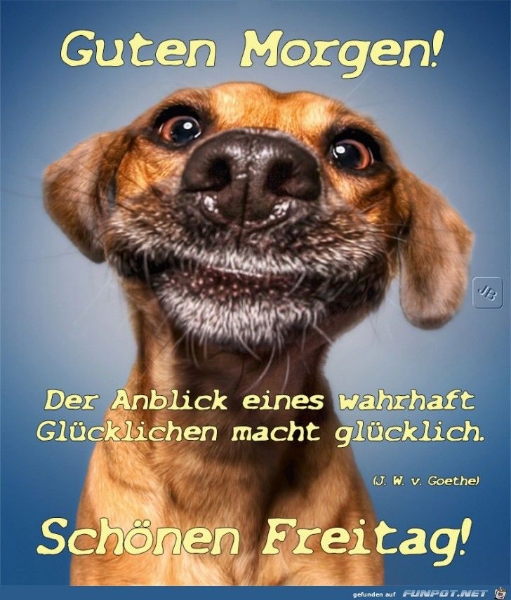 freitag bilder lustig Guten morgen