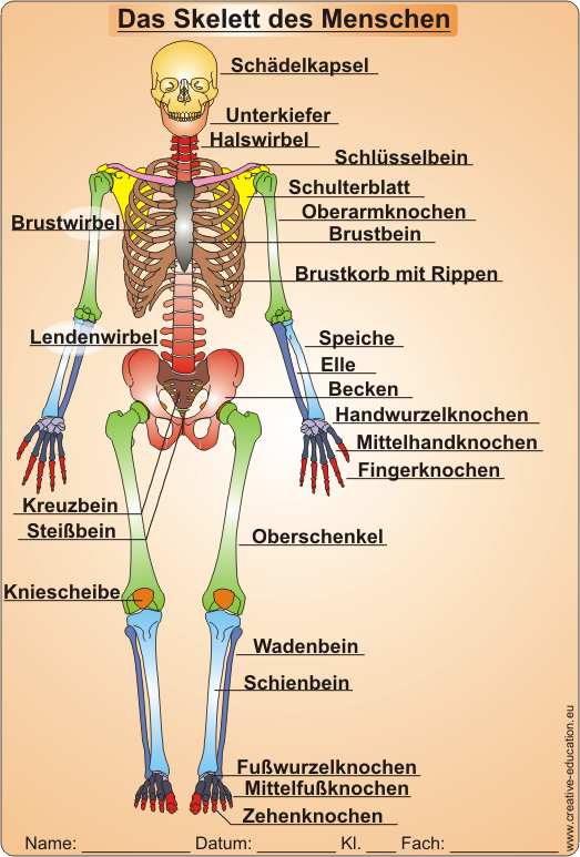 Pornos Gratis Bilder von frauen nackt