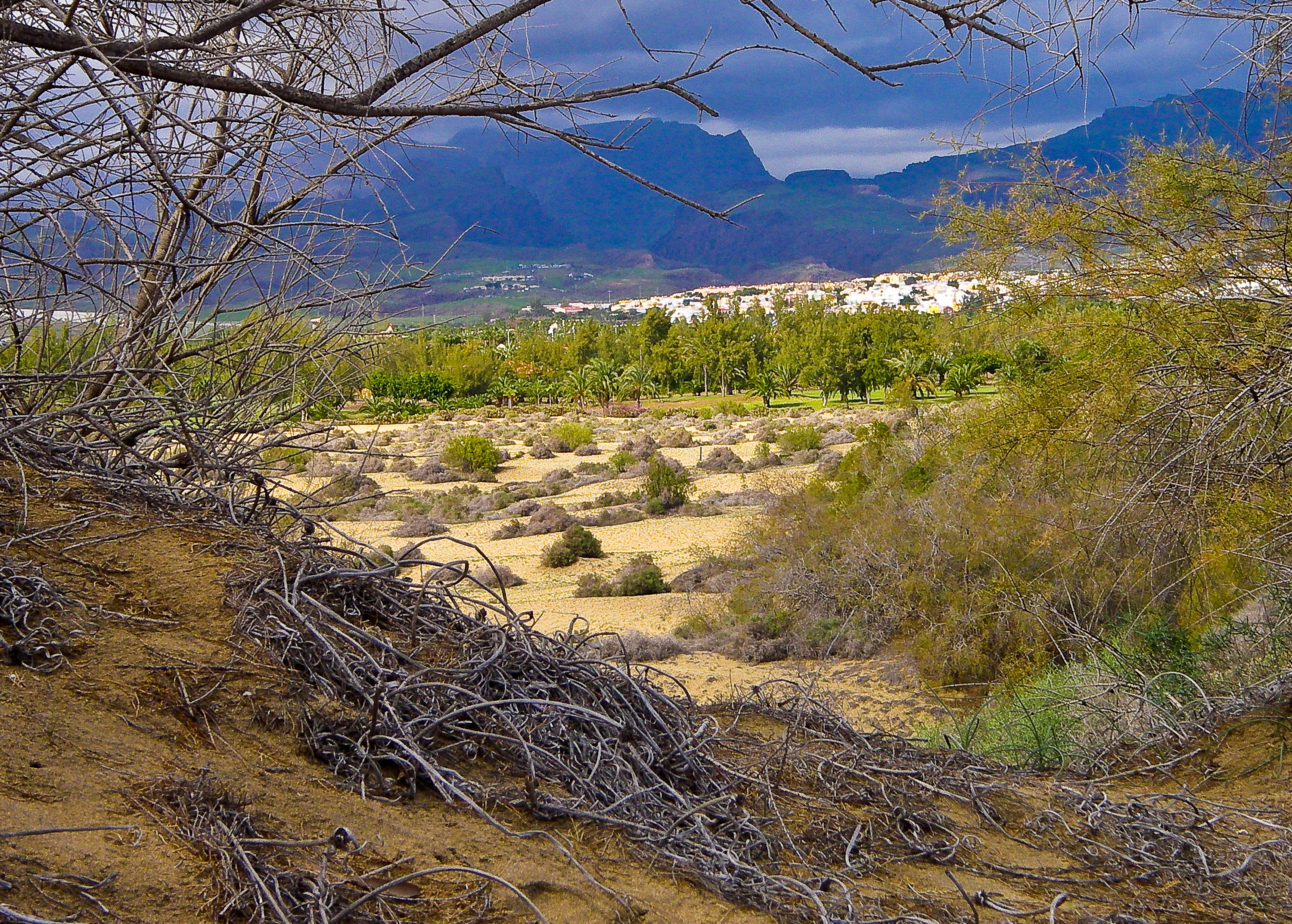 in the dunes Sex